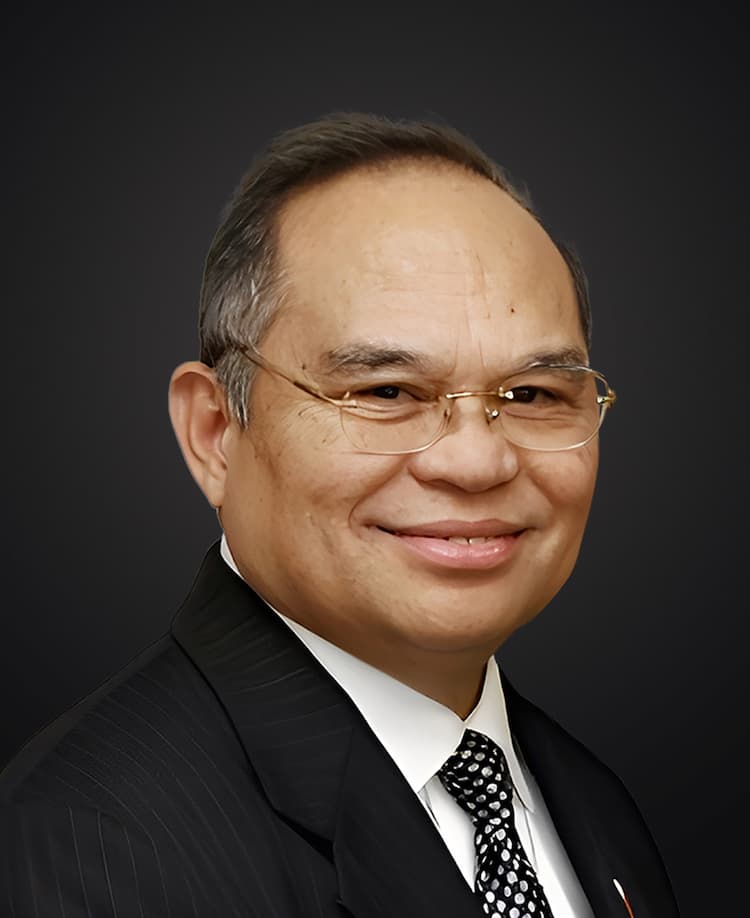 Libran N. Cabactulan